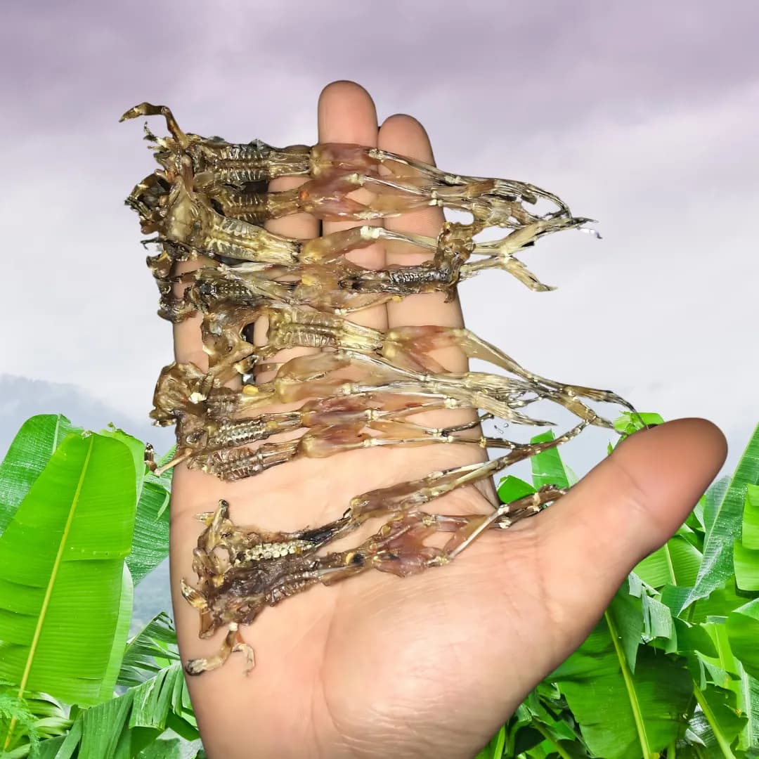 Mua khô nhái An Giang - khô nhái thành phẩm con nhỏ đều trên tay